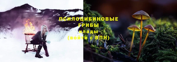тгк Арсеньев