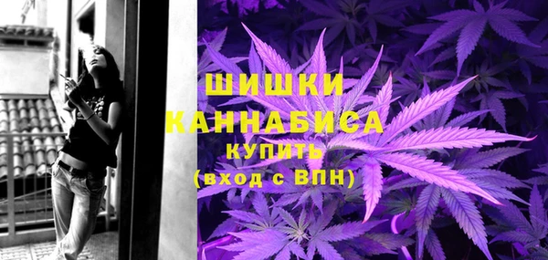 тгк Арсеньев