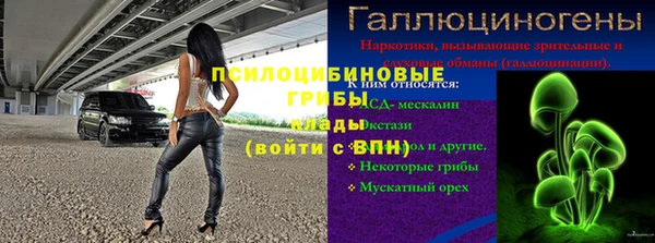 твердый Аркадак
