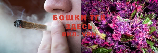 тгк Арсеньев